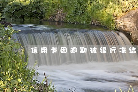 信用卡因逾期被银行冻结 信用卡因逾期被银行冻结