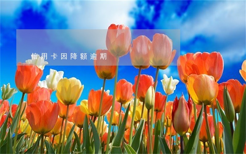 信用卡因降额逾期