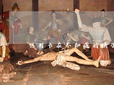 信用卡在不知道的情况下逾期了怎么办 信用卡在不知道的情况下逾期了怎么办