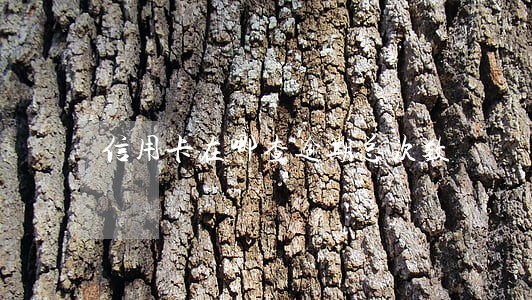 信用卡在哪查逾期总次数 信用卡在哪查逾期总次数