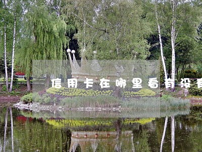 信用卡在哪里看有没有逾期 信用卡在哪里看有没有逾期
