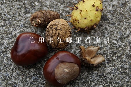信用卡在哪里看逾期