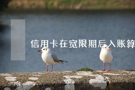信用卡在宽限期后入账算逾期