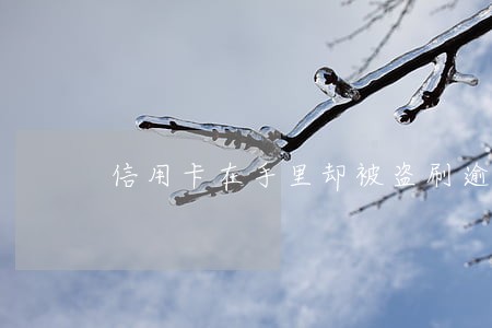 信用卡在手里却被盗刷逾期 信用卡在手里却被盗刷逾期