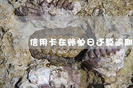 信用卡在账单日还算逾期吗 信用卡在账单日还算逾期吗