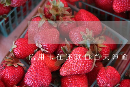 信用卡在还款日当天算逾期么 信用卡在还款日当天算逾期么