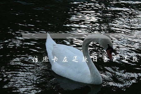 信用卡在还款日当天还款算逾期 信用卡在还款日当天还款算逾期
