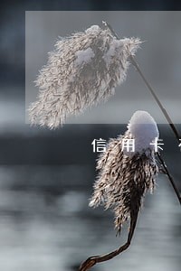信用卡在逾期三天 信用卡在逾期三天