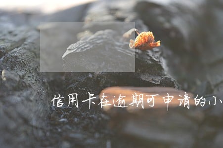 信用卡在逾期可申请的小额贷 信用卡在逾期可申请的小额贷