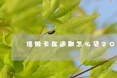 信用卡在逾期怎么贷20000 信用卡在逾期怎么贷20000