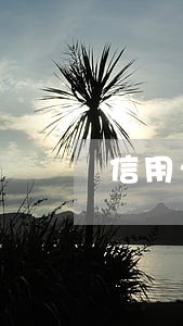 信用卡在那看逾期 信用卡在那看逾期