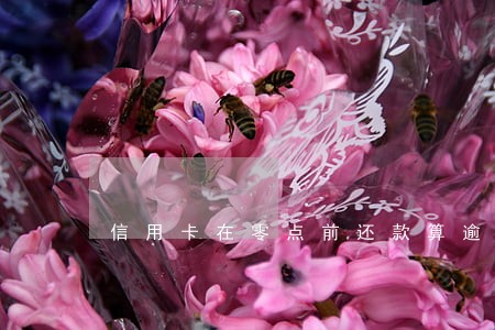 信用卡在零点前还款算逾期吗 信用卡在零点前还款算逾期吗