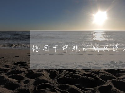 信用卡坏账证明只还本金 信用卡坏账证明只还本金
