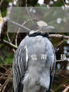 信用卡境外消费有逾期吗 信用卡境外消费有逾期吗