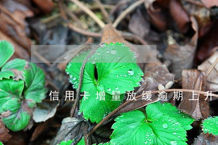 信用卡增量放缓逾期上升 信用卡增量放缓逾期上升