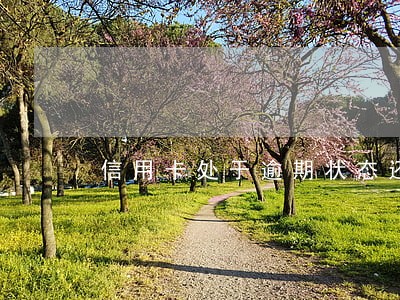 信用卡处于逾期状态还能用吗