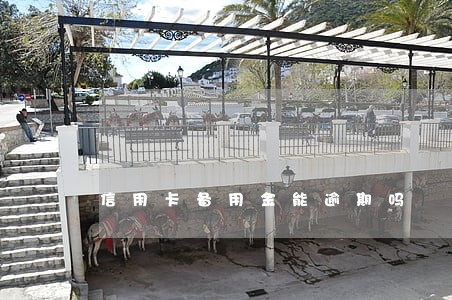 信用卡备用金能逾期吗 信用卡备用金能逾期吗