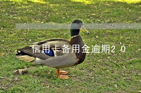 信用卡备用金逾期20