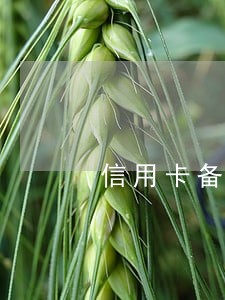 信用卡备用金逾期5天 信用卡备用金逾期5天
