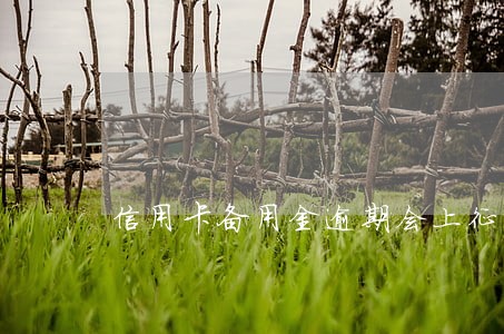 信用卡备用金逾期会上征信吗