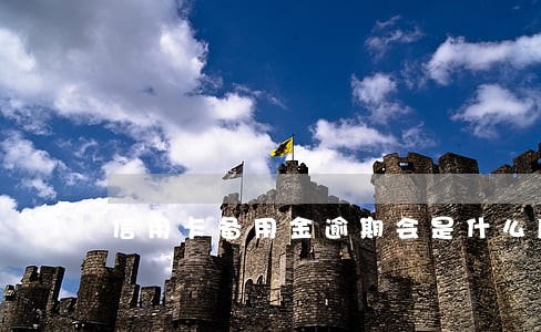 信用卡备用金逾期会是什么后果 信用卡备用金逾期会是什么后果