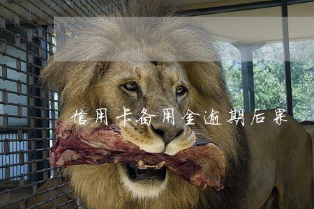 信用卡备用金逾期后果