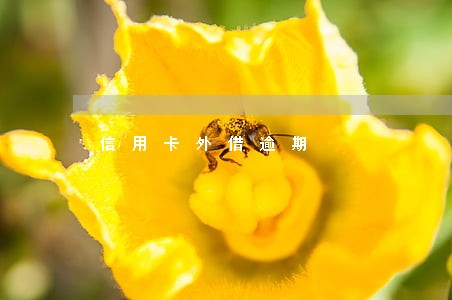 信用卡外借逾期 信用卡外借逾期