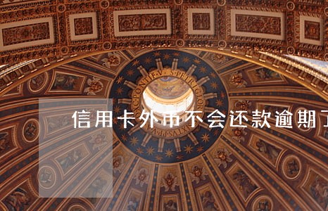 信用卡外币不会还款逾期了 信用卡外币不会还款逾期了