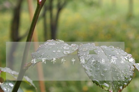 信用卡外币账户逾期会影响征信吗