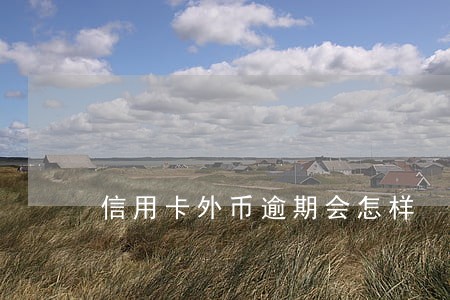 信用卡外币逾期会怎样 信用卡外币逾期会怎样