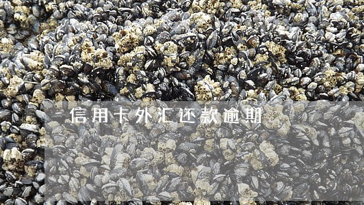 信用卡外汇还款逾期 信用卡外汇还款逾期