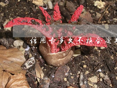 信用卡多久不换会逾期 信用卡多久不换会逾期