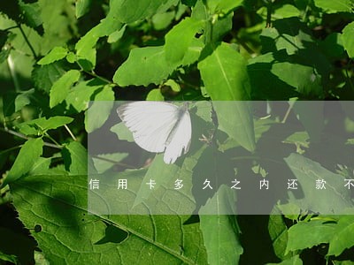 信用卡多久之内还款不算逾期 信用卡多久之内还款不算逾期