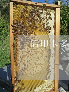 信用卡多久会会逾期 信用卡多久会会逾期
