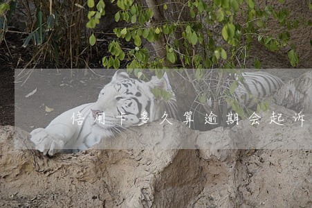 信用卡多久算逾期会起诉 信用卡多久算逾期会起诉