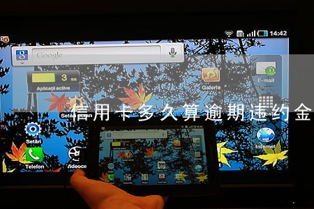 信用卡多久算逾期违约金 信用卡多久算逾期违约金