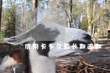 信用卡多久算长期逾期 信用卡多久算长期逾期