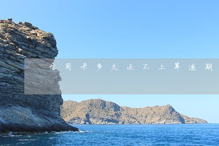 信用卡多久还不上算逾期