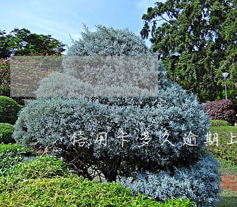 信用卡多久逾期上报 信用卡多久逾期上报