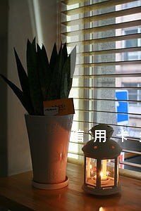 信用卡多久逾期会起诉法院