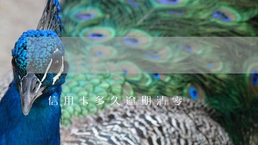 信用卡多久逾期清零 信用卡多久逾期清零