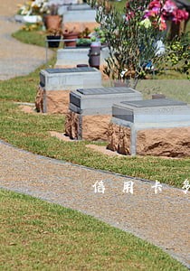 信用卡多但是从没有逾期