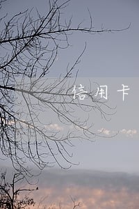 信用卡多但没有逾期
