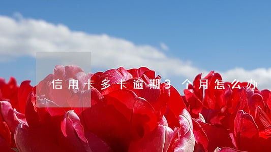 信用卡多卡逾期3个月怎么办 信用卡多卡逾期3个月怎么办