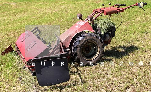 信用卡多大额度逾期会被通缉嘛