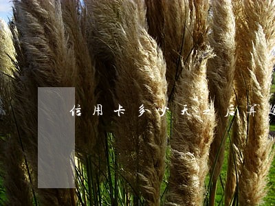 信用卡多少天之后算逾期 信用卡多少天之后算逾期