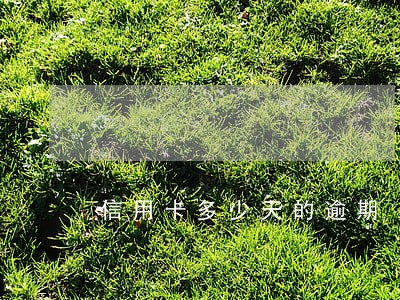 信用卡多少天的逾期 信用卡多少天的逾期