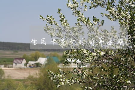 信用卡多少时间算逾期