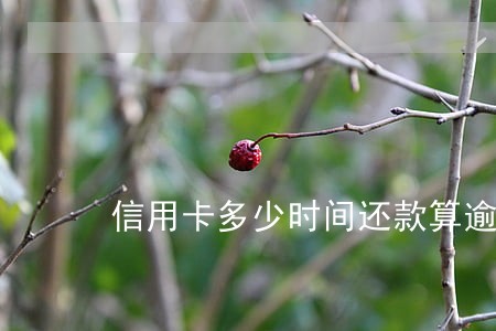 信用卡多少时间还款算逾期 信用卡多少时间还款算逾期