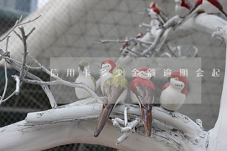 信用卡多少金额逾期会起诉 信用卡多少金额逾期会起诉
